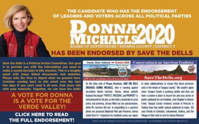 Save the Dells Has Endorsed Donna!